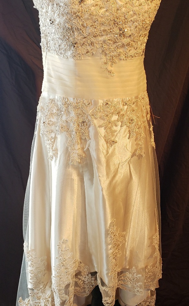 Wedding / Prom gown